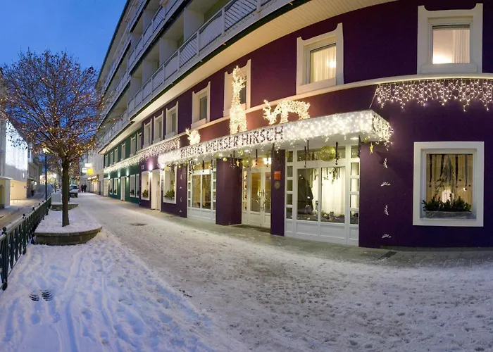 Aktivhotel Weisser Hirsch
